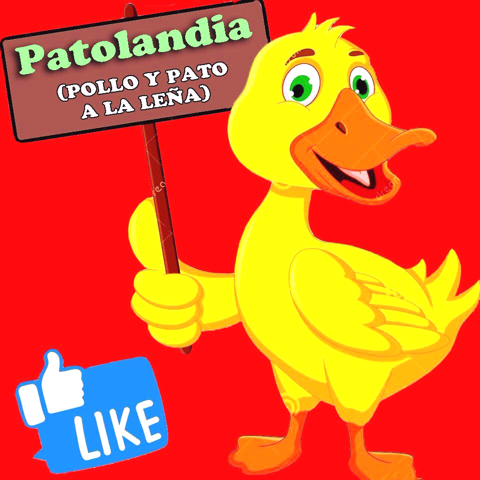 308602103_525195716273678_234480733135917144_n