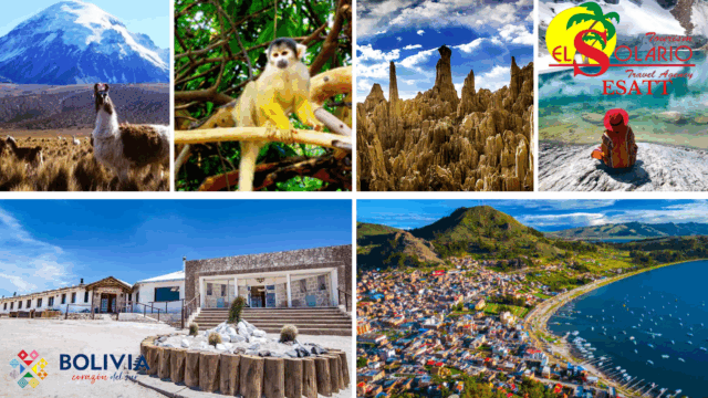 405135529_847943310668494_2614180309217022441_n