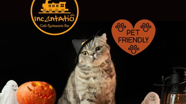 432336873_789974203153461_2354960199252674403_n