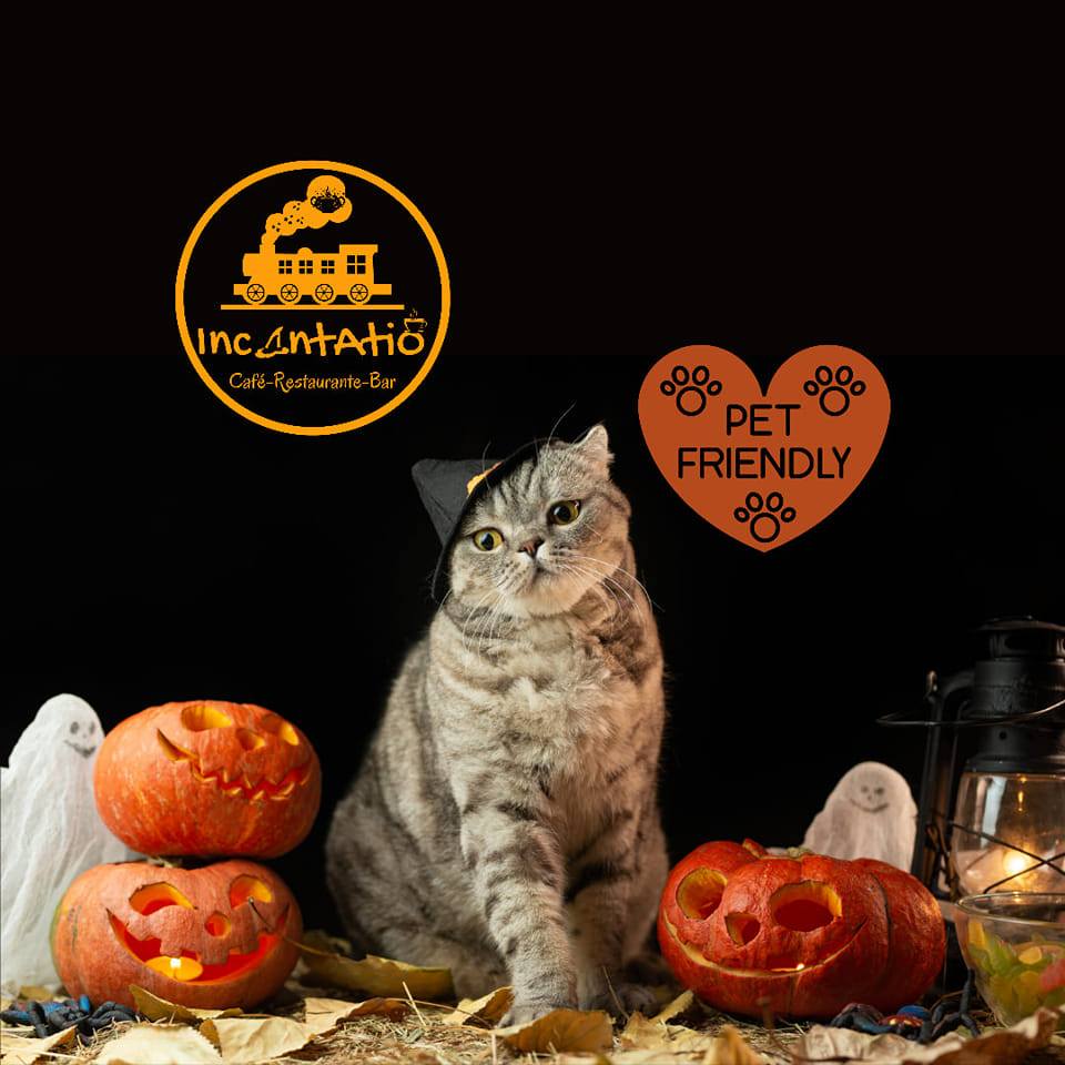 Incantatio Café Temático - Bolivia