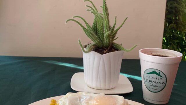 469916388_122159953148323802_7813298101706966405_n