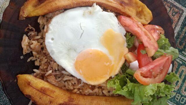 474713999_10234321046265036_4755742274867748227_n