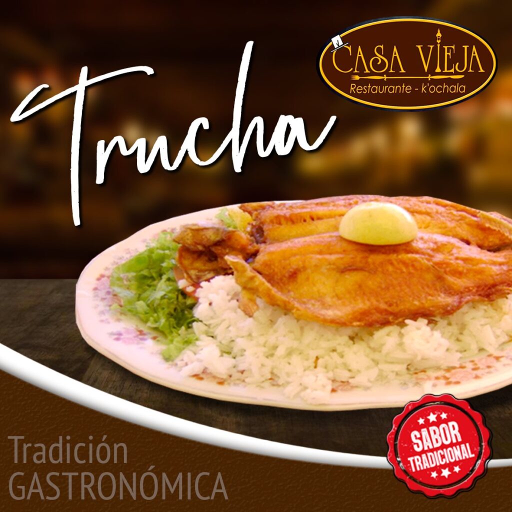 475886147_9544179978959901_1603013802703325919_n