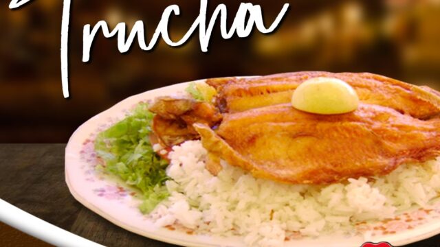 475886147_9544179978959901_1603013802703325919_n