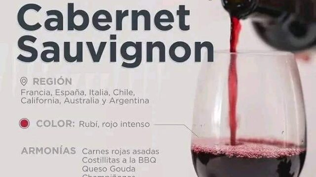 480813865_1151221270032466_4330319481588651999_n