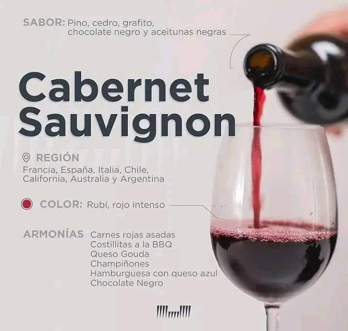 480813865_1151221270032466_4330319481588651999_n