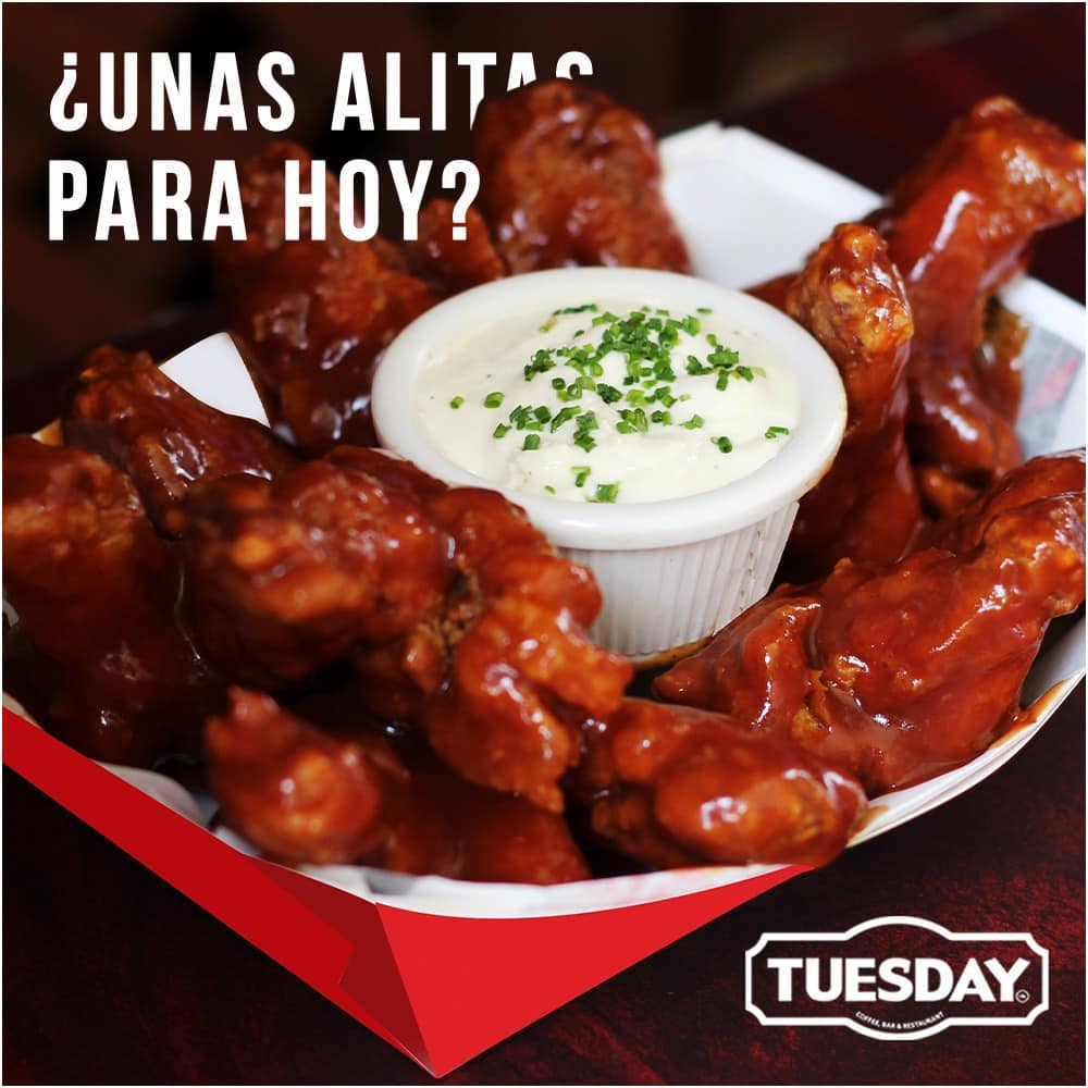 481024845_1031980708961704_7607207740060755699_n