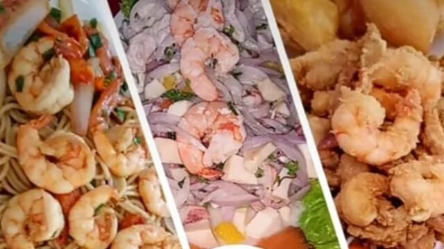 481109047_4017299655201656_8180455718913050097_n