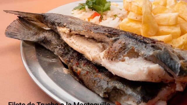 481206609_1458411535436474_6727090014670270915_n