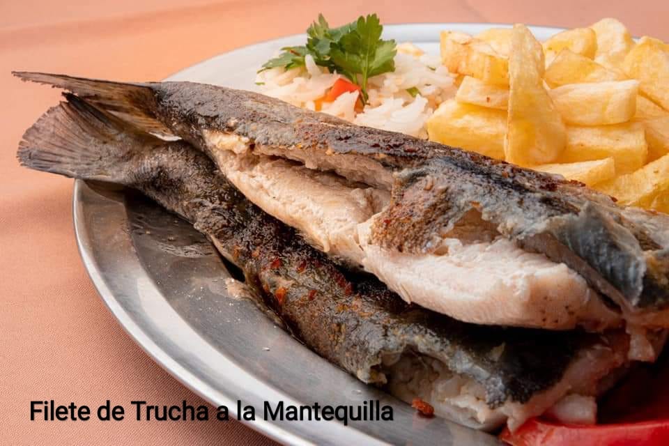 481206609_1458411535436474_6727090014670270915_n