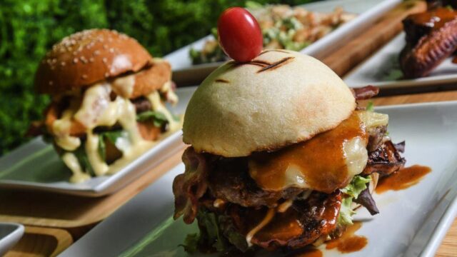 481238125_1130469158881609_3650158830169682910_n