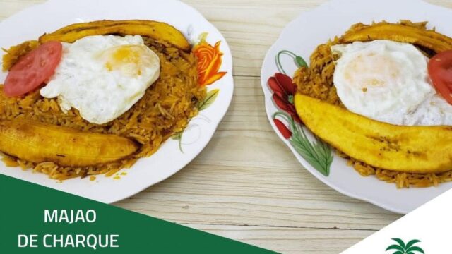 481765225_1136282244969395_4090642429406558251_n