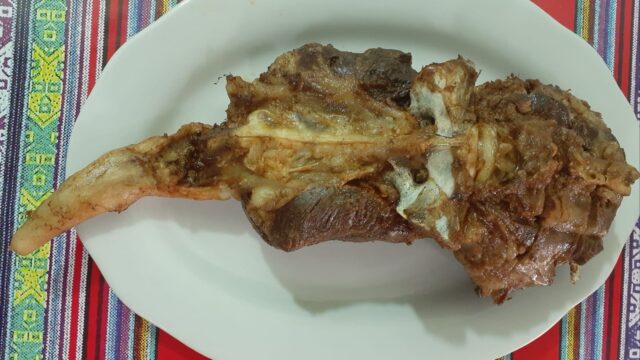 481985893_1136563535146557_7997246813590116102_n