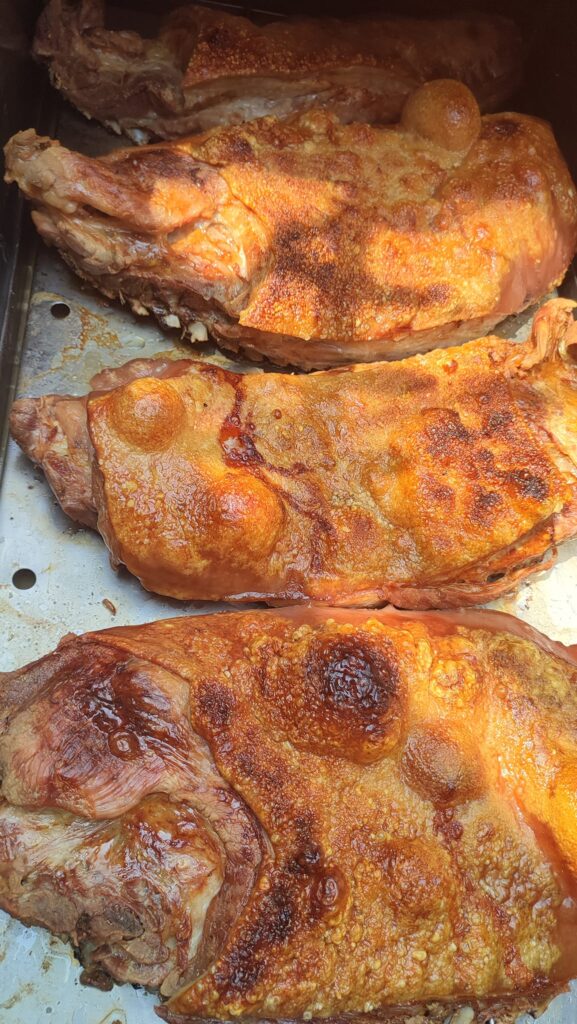 483852184_1223731579757713_3001449854115463218_n