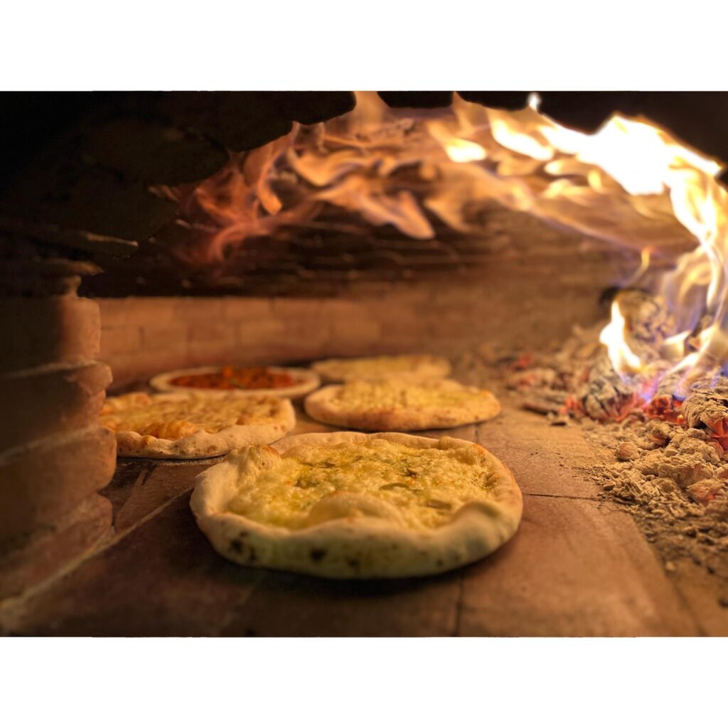 484230886_1252454213086457_342809952757449861_n