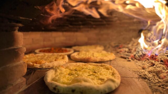 484230886_1252454213086457_342809952757449861_n