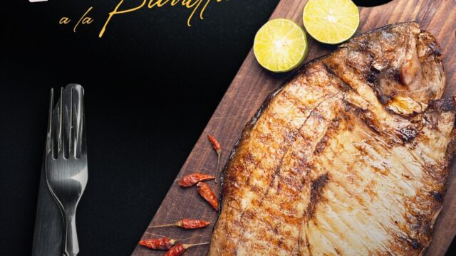 486211866_8544395765663337_7999711637052477955_n