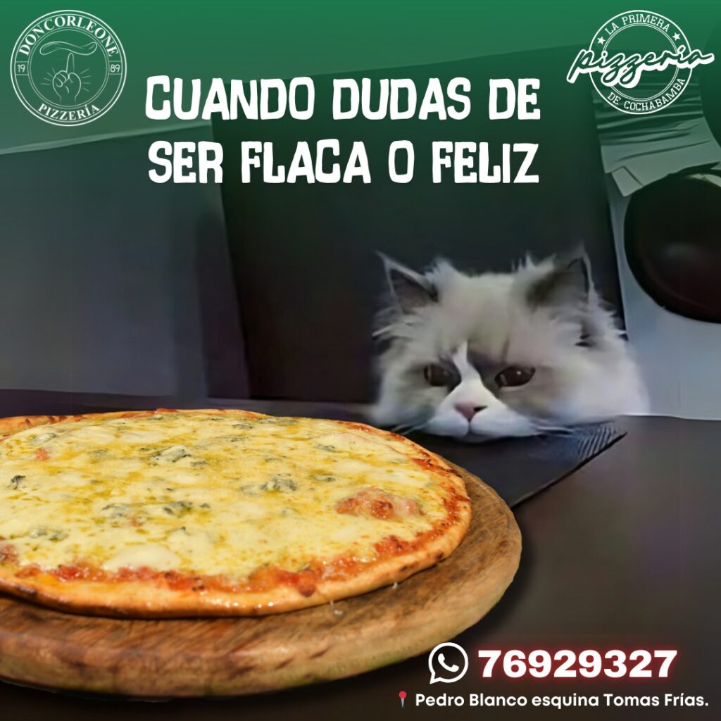 487439936_1167365038734816_4287026740961332627_n