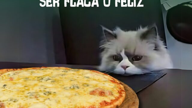 487439936_1167365038734816_4287026740961332627_n