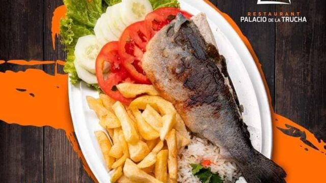 488221430_1497001081577519_1388997611977492165_n