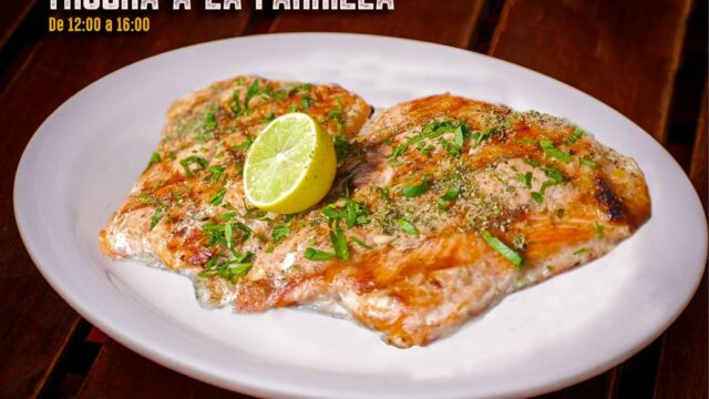 488451236_1185477580254083_4241417763421819057_n