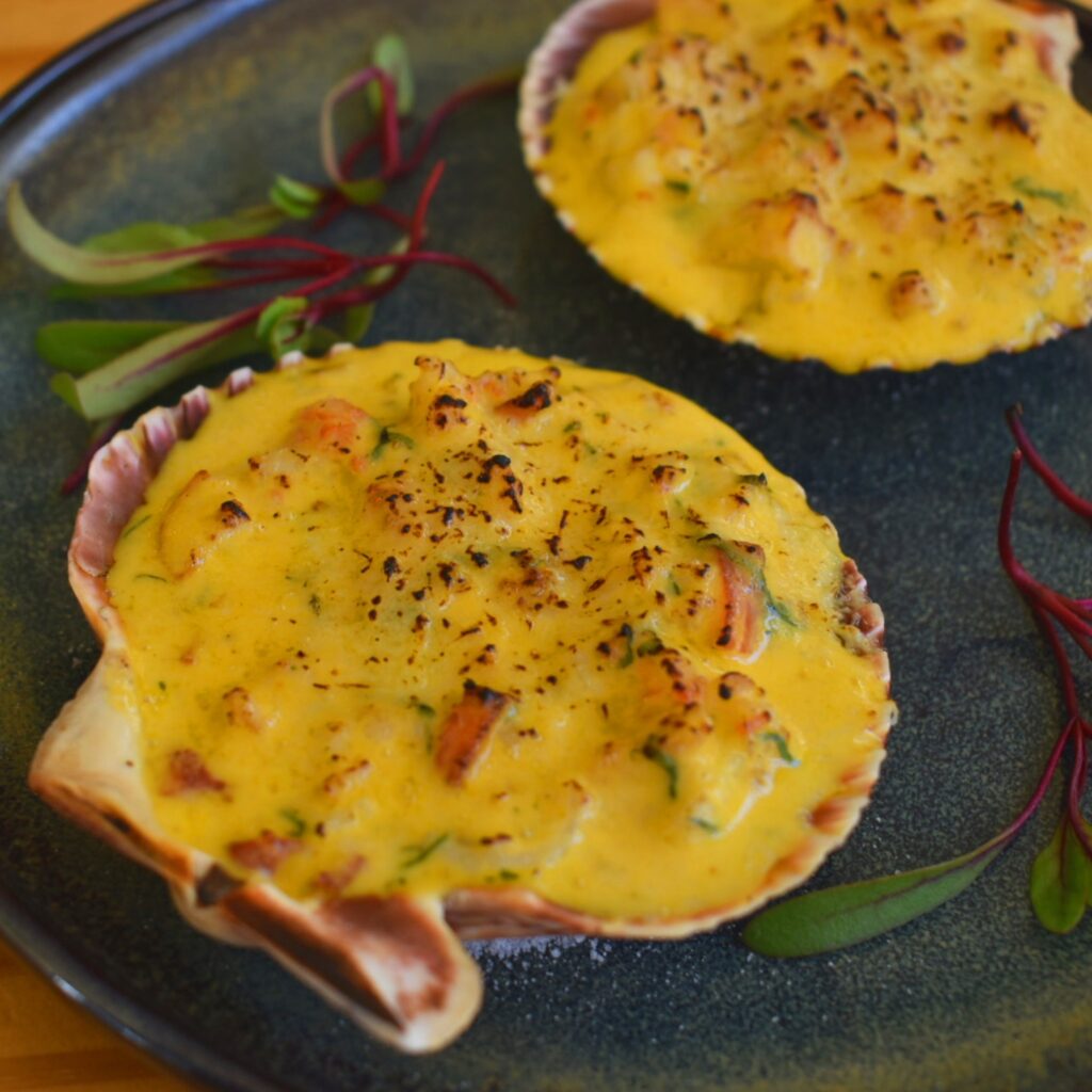 488577101_981754477501058_2053112551524276457_n