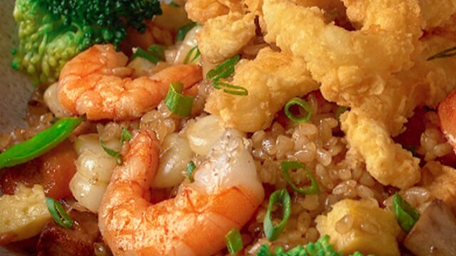 488825684_1241049138029617_942864822997128473_n