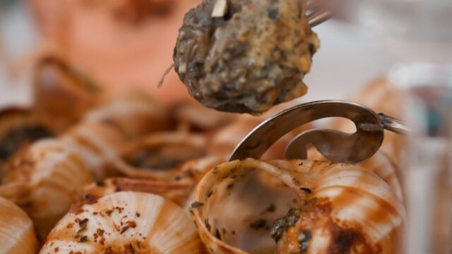 489004785_989822523274106_6405331159856356160_n