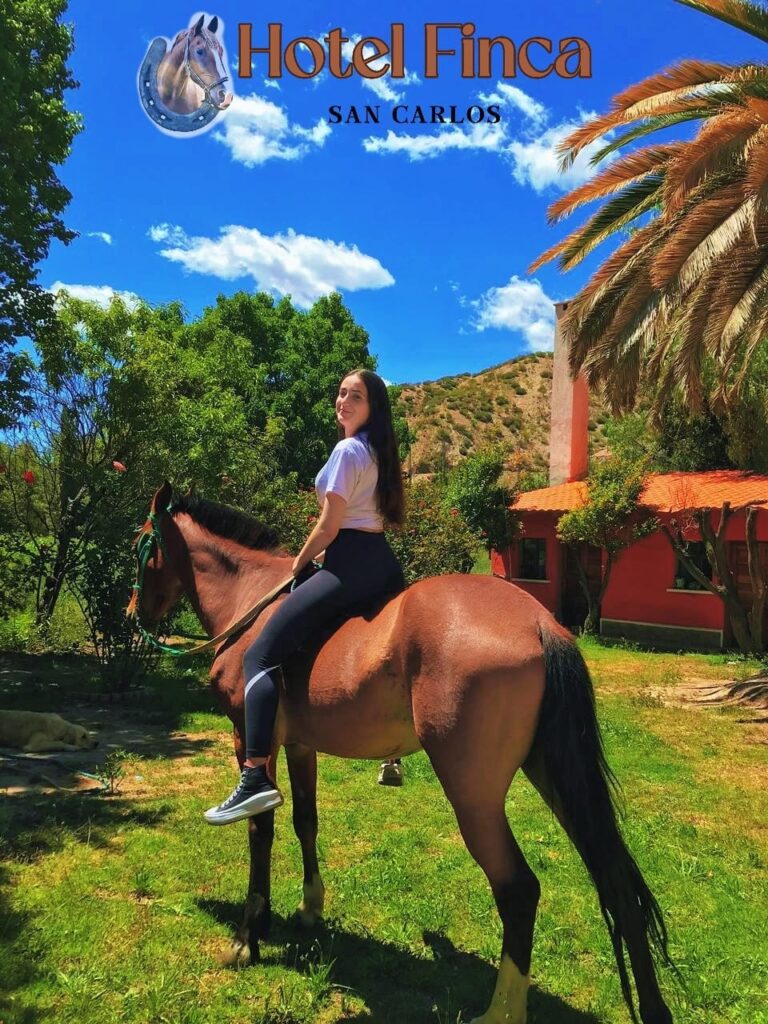 489820874_1136063498532984_1193280212570574855_n