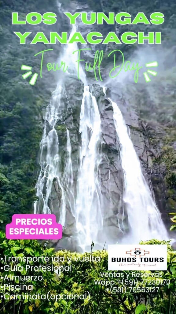 491606326_1265677505216095_7141230470947589697_n