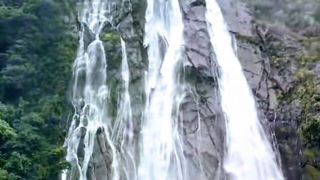 491606326_1265677505216095_7141230470947589697_n