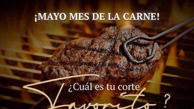 491997001_1219532786843893_8816676955638939745_n