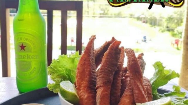 492691372_1228227332642438_3515195153139187254_n