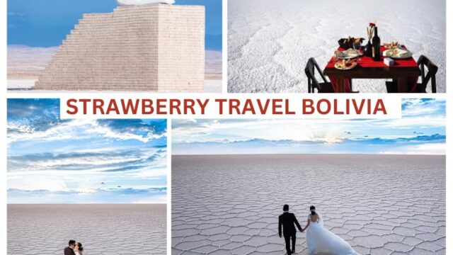 492808454_1485067616189843_2890283526810009434_n