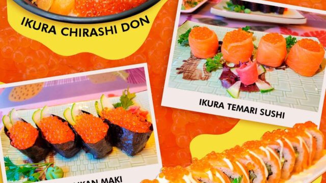 492995356_1528415385214162_1600482281720756018_n