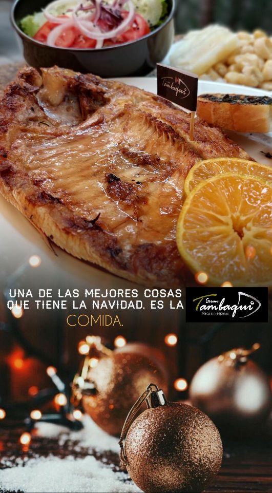 493404584_1251476943650796_4641289379791729702_n