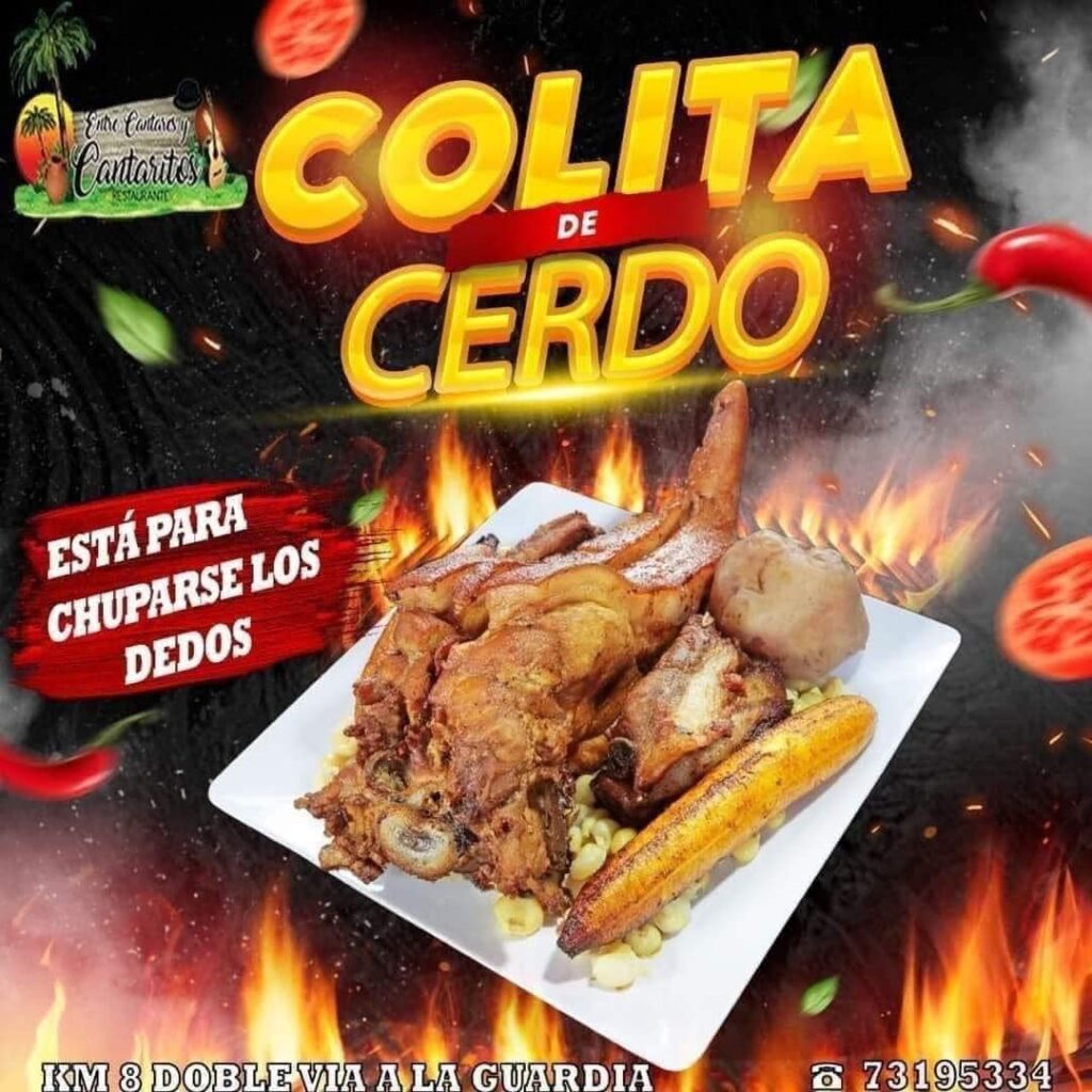 493692877_1272527001540812_244661438528425041_n