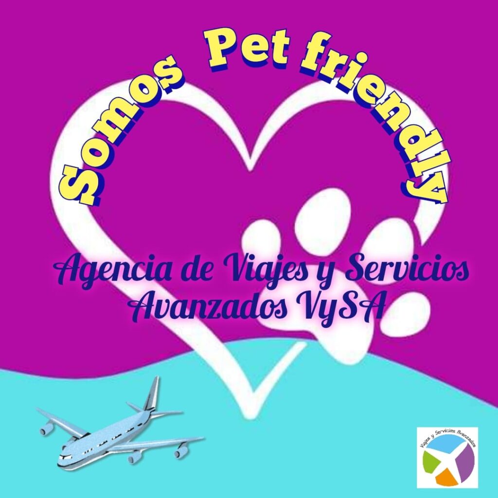 494012878_1219126173554087_8248826125900198490_n