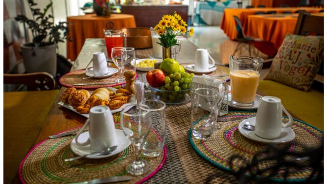 494063020_1225070536293287_368290061843715771_n