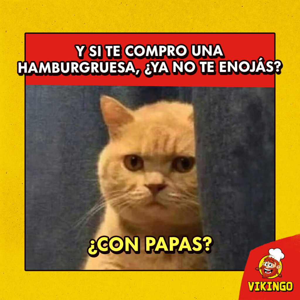 495249998_1121176863377493_5192444828632911438_n