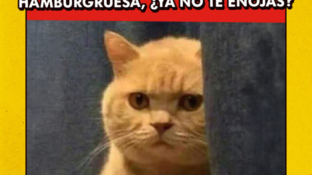 495249998_1121176863377493_5192444828632911438_n