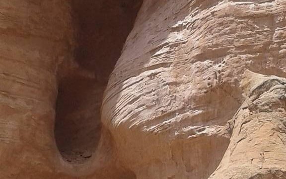 495382552_4049140082010858_549387815060822446_n