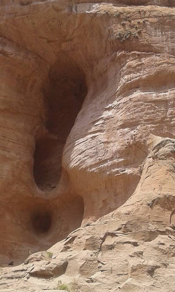 495382552_4049140082010858_549387815060822446_n