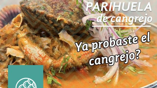 495539420_1488452955459434_8431019609041642858_n