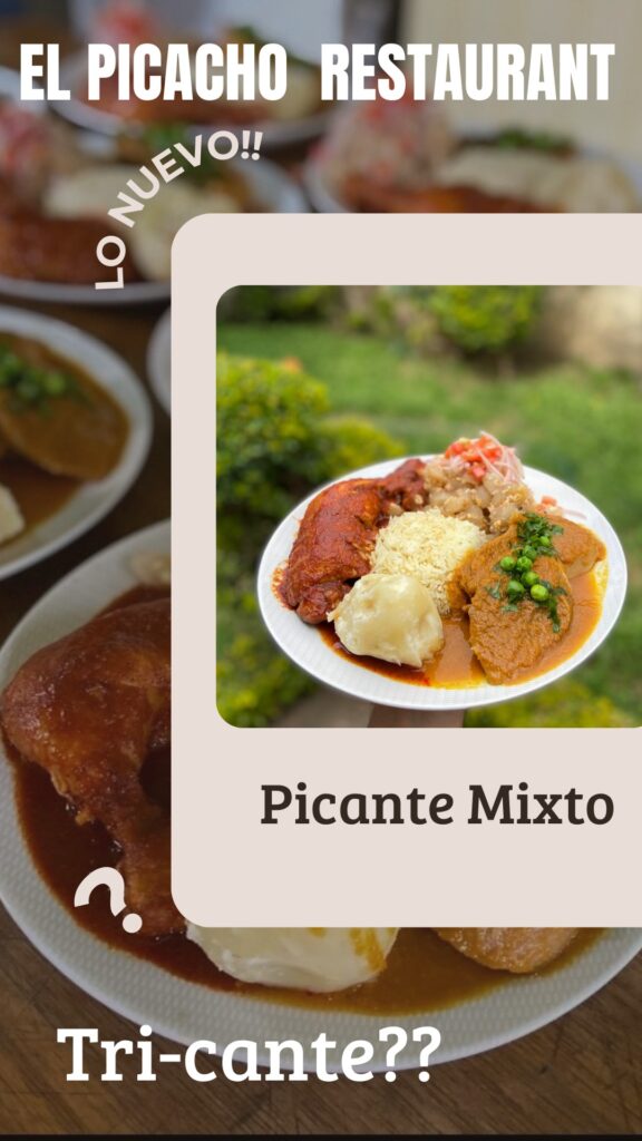 495964981_1262096245921019_5834433676774058677_n