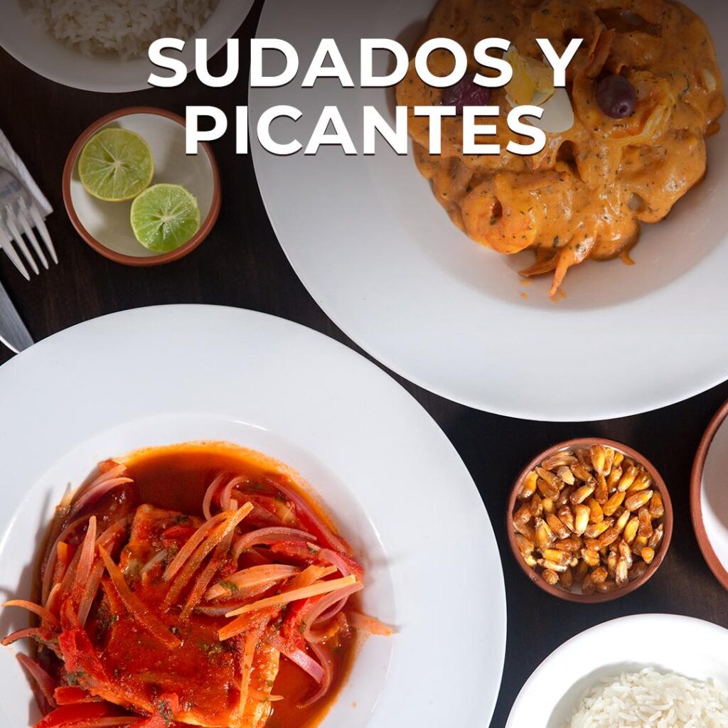 495993696_1506702417348607_4928750659959673728_n