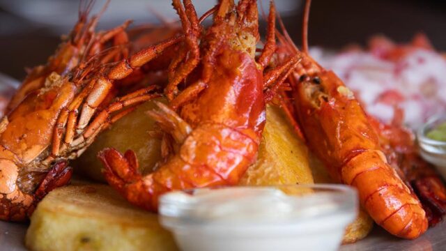 496944886_1506700864015429_4588399185444713388_n