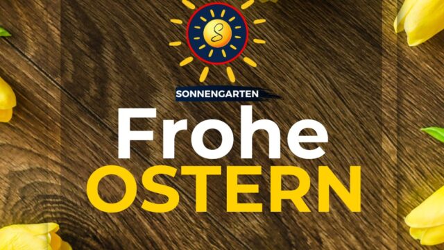 499402805_1140534881435820_5969772371663115104_n