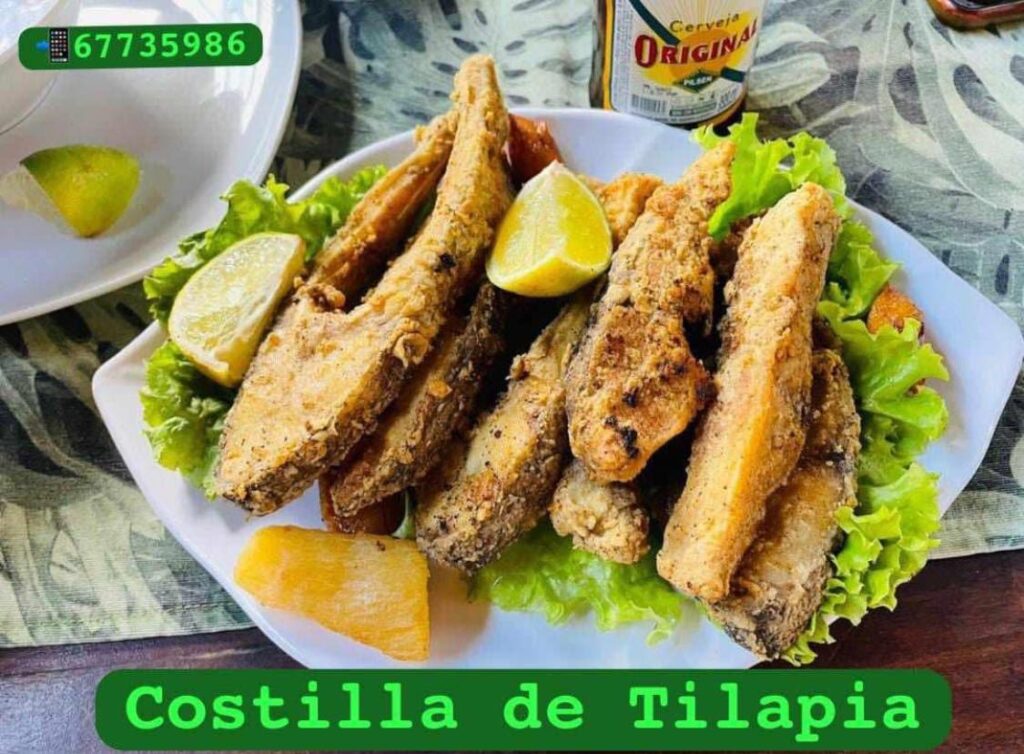 499484938_1246450457486792_5273650167639367301_n