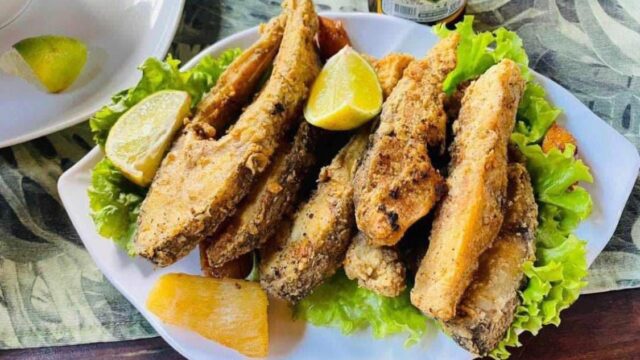 499484938_1246450457486792_5273650167639367301_n